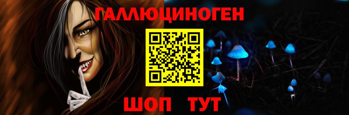 Псилоцибиновые грибы прущие грибы Бор